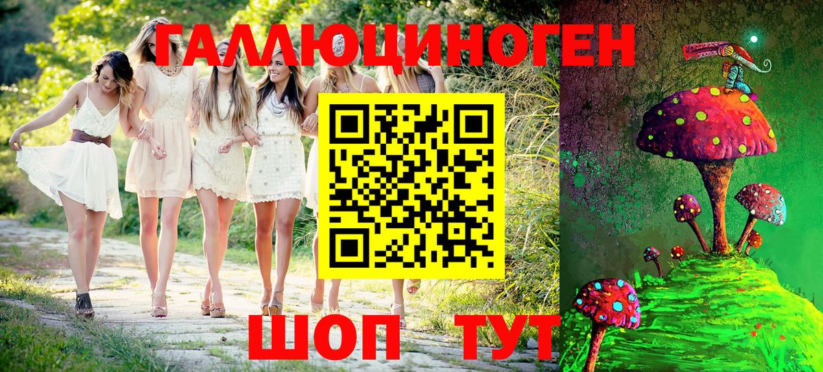 Галлюциногенные грибы Psilocybine cubensis  Вход с VPN  Асино 